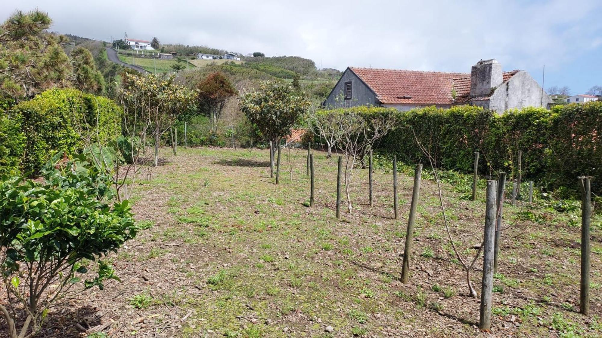 Retiro Das Camelias 1 Lajes das Flores Экстерьер фото