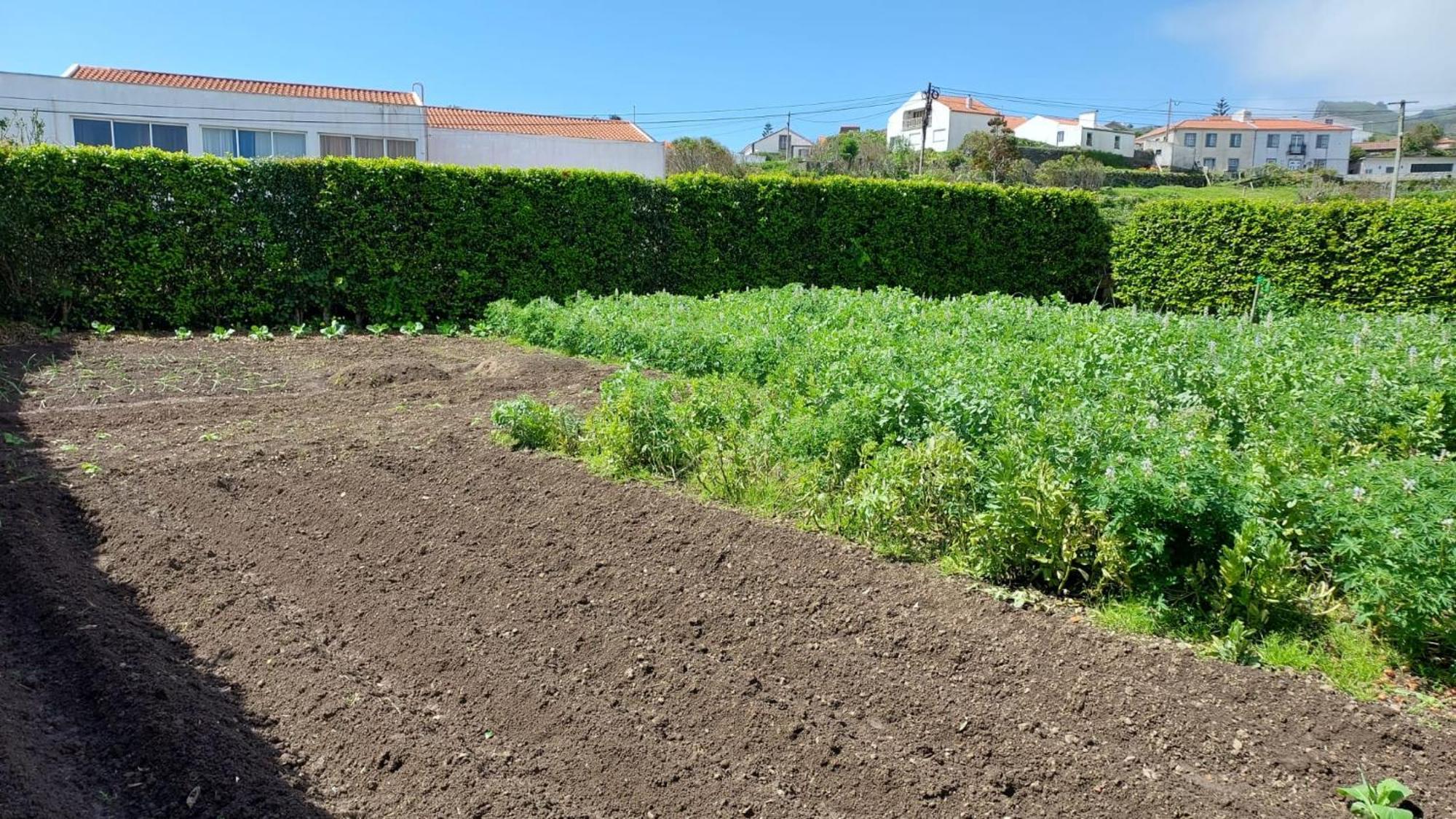 Retiro Das Camelias 1 Lajes das Flores Экстерьер фото