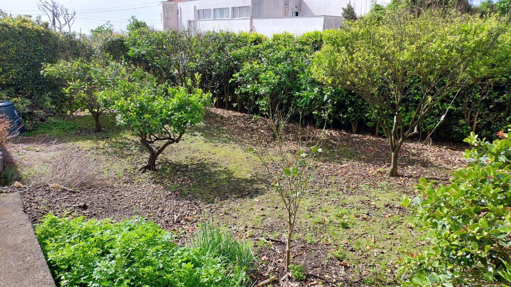 Retiro Das Camelias 1 Lajes das Flores Экстерьер фото