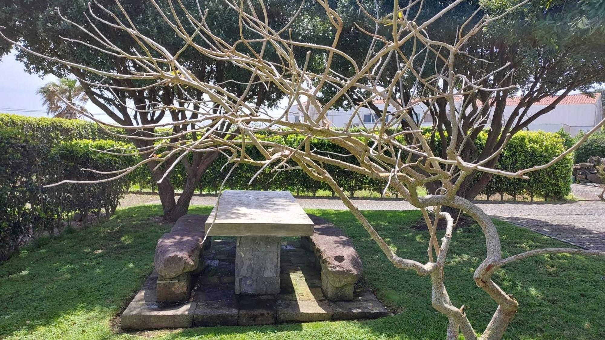 Retiro Das Camelias 1 Lajes das Flores Экстерьер фото